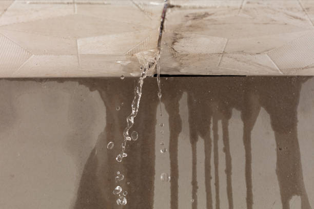 Professional Water Extraction technician working in Westphalia, MD